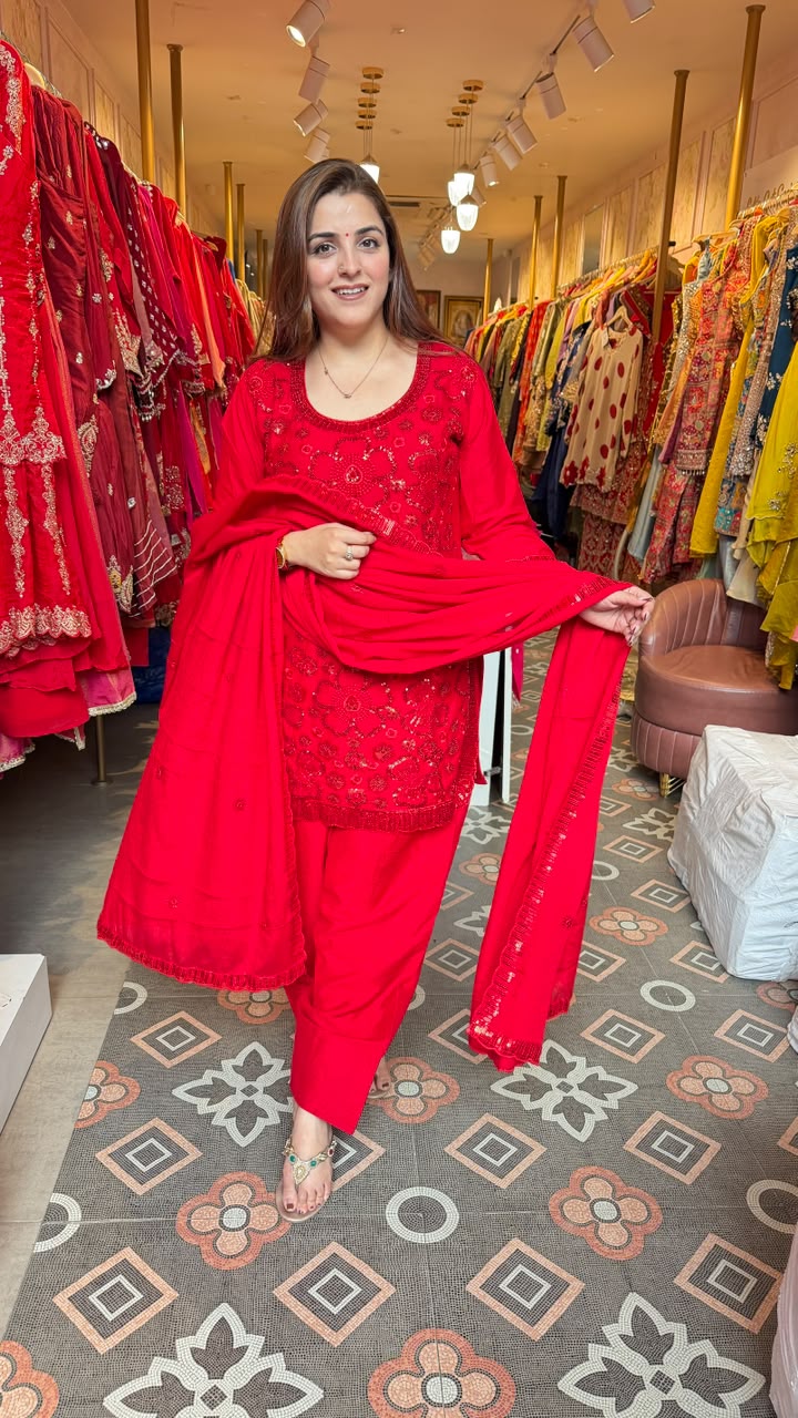 Classic Embroidered Punjabi Salwar Suit