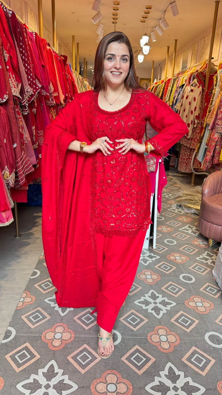 Classic Embroidered Punjabi Salwar Suit