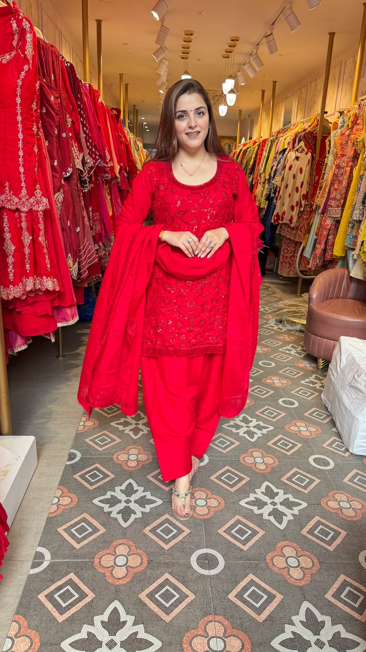 Classic Embroidered Punjabi Salwar Suit