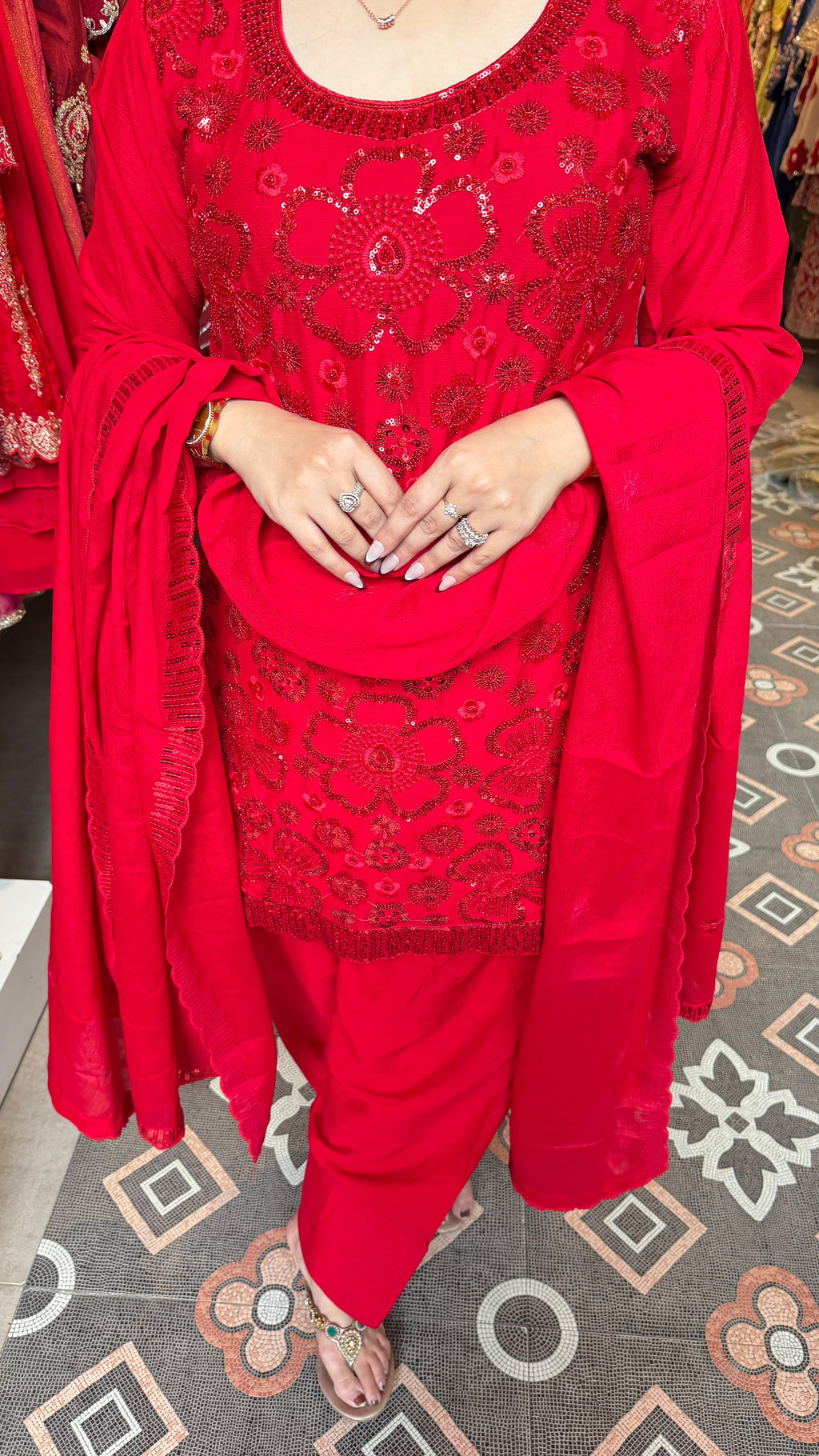Classic Embroidered Punjabi Salwar Suit