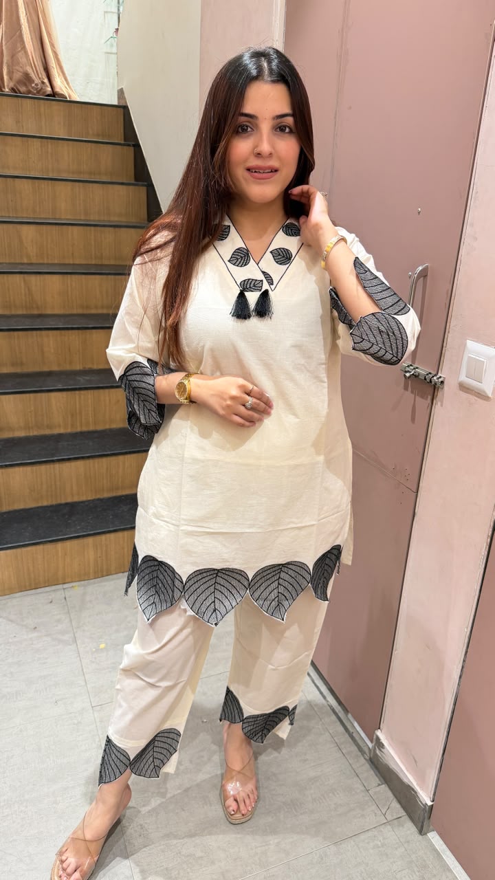 Straight Kurta with Coordinated Pants 2-Piece set