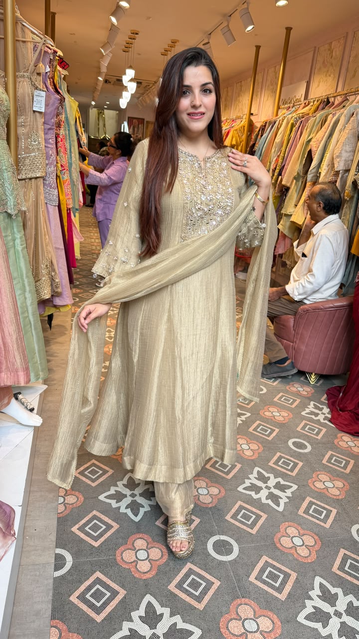 Shimmer Tissue Silk Embroidered Kurta Set with Dupatta