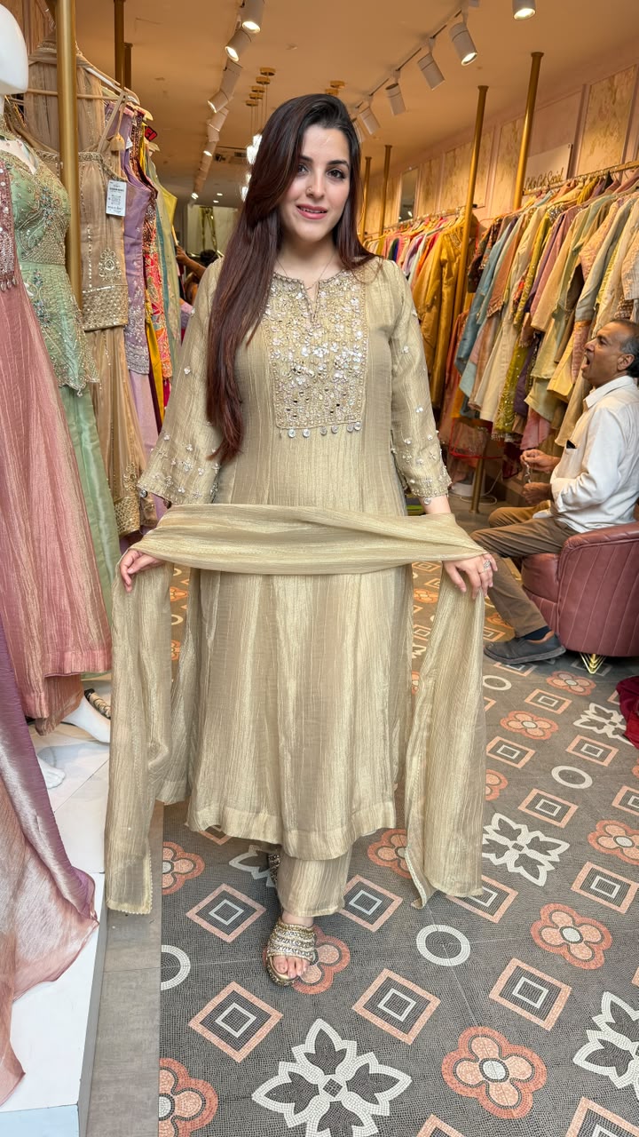 Shimmer Tissue Silk Embroidered Kurta Set with Dupatta