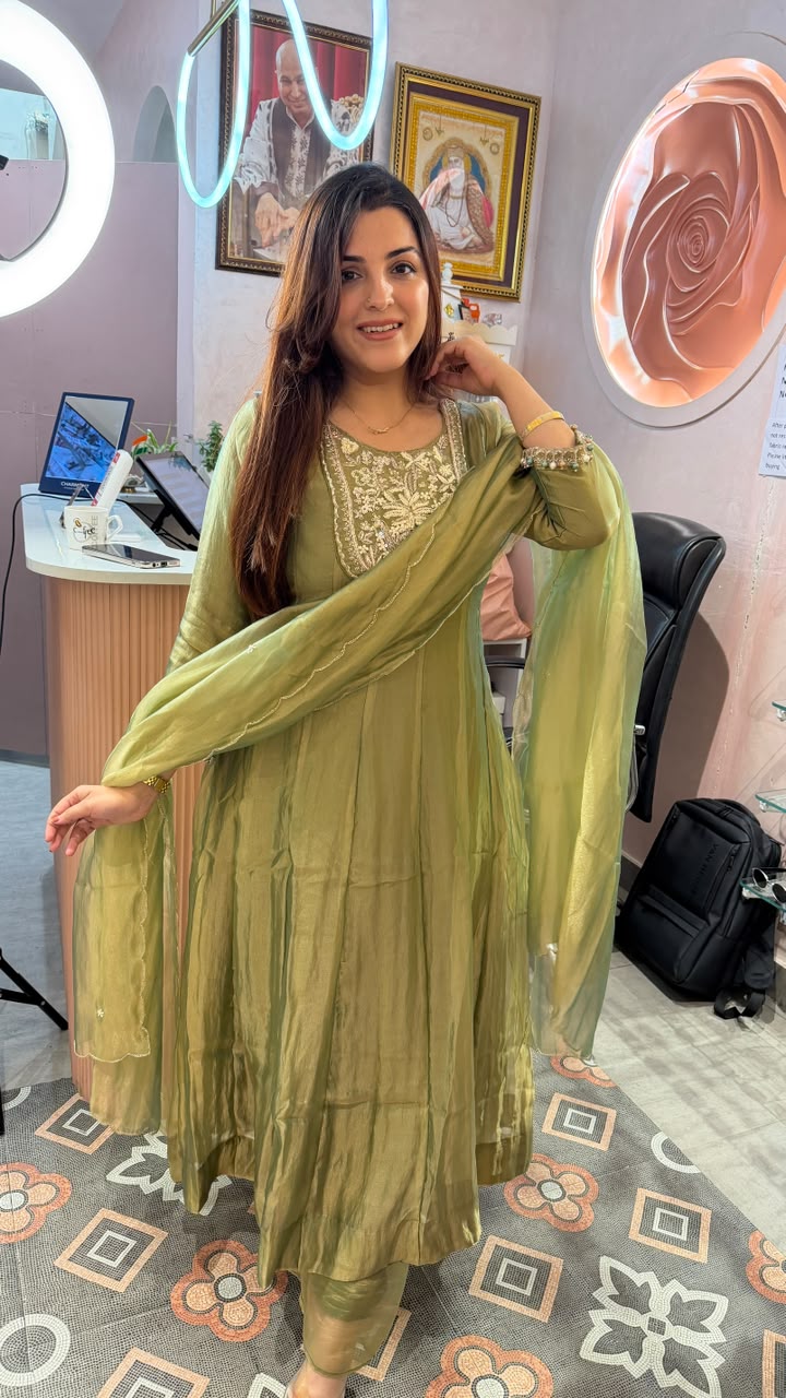 Zari Elegance A graceful Anarkali-style ethnic suit set
