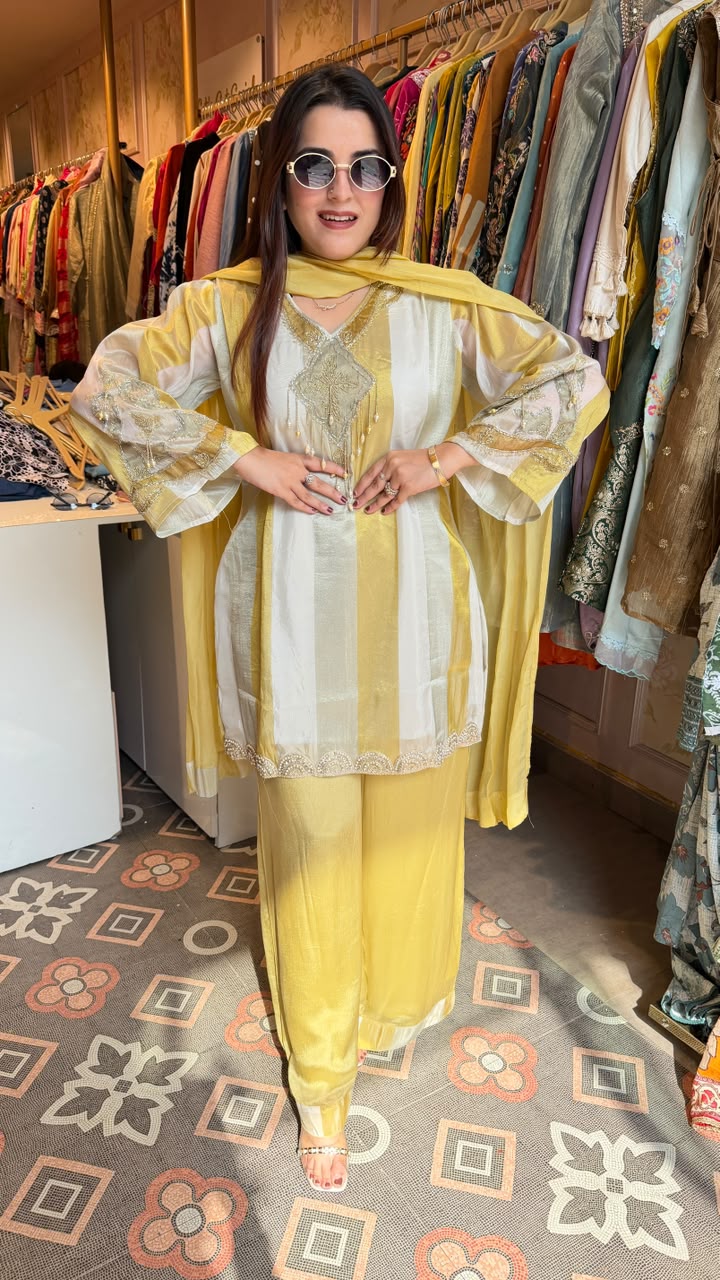 Sunshine Zari Striped Embroidered Punjabi Suit