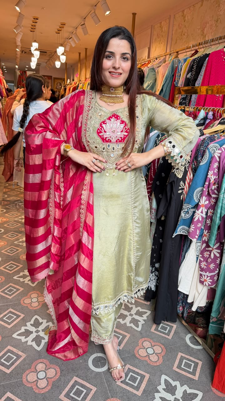 Contemporary Punjabi Festive Suit